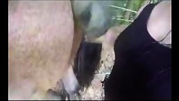 Horse cum free POV - Animal sex