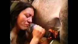 Girl fuck throat horse and drink horse cum
