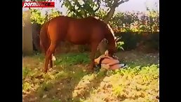 Lucky Horse Sex With Blonde