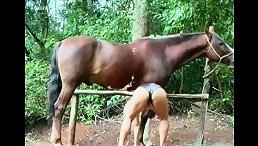 Mature whore gets sexual pleasure of having beastiality sex with a horse  outdoors - XXX FemeFun
