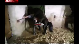 Horse Porn  - Fuck Curly Girl
