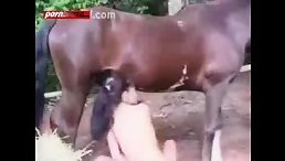 Horse porn - Fucking Babe