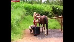 Blonde Fucked Horse - horse porn