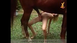 Taking big horse cock in her tight pussy