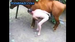 Man fuck horse porn