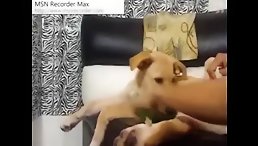 Dog sex free on cam of amateur girl