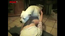 Style Doggy - Animal porn