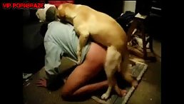 dog rape woman when husband away