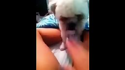 Pretty Dog fucking with girl on cam