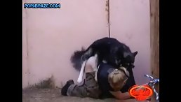Human Teach Dog How Fucking Woman- Animal Porn Free