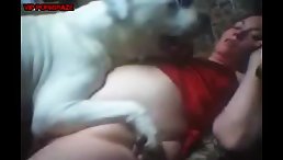 Girl's pet is licking lovely vagina