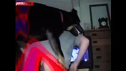 Schoolgirl Babe Show Cam Fucking Dog