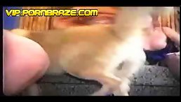 animal porn hd  - best girl rape by monser dog