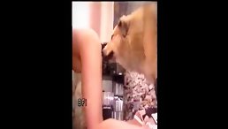 Dog and Young girl casting porn outdoor