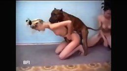 Horny dirty women fucking their dog orgy - Animals porn