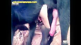 Huge Cock Dog Deep Inside Mouth