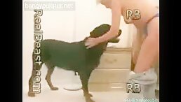 Watch the Wildest Scene Ever: Blond Woman Screwed By Dog in Beastiality XXX!