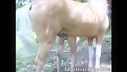 Watch and Cum: Incredible Horse Sex Video and Free Zoo Sex Video!