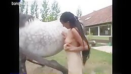 Girl Finds Pleasure in Horse Sucking: Zoo Porn Horse Sex and Zoophilia, Watch Now!