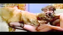 Bfi dog with two hot russian sluts lesbian excellent cumshot in mouth full - Zoo Porn Dog Sex, Zoophilia free zoo porn dog watch animal sex xxx
